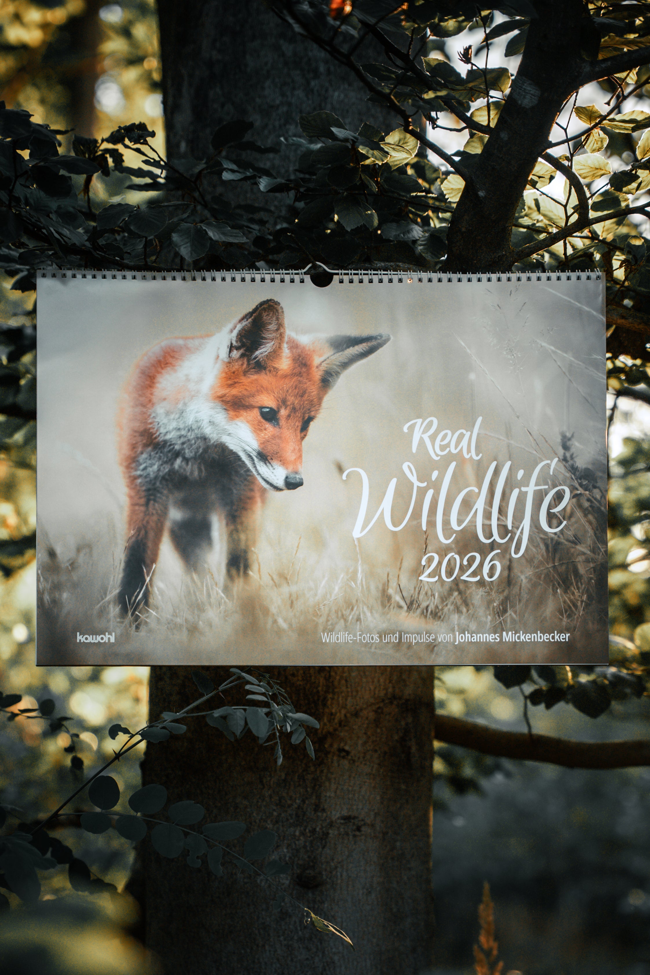 Real Wildlife 2026 - Wandkalender