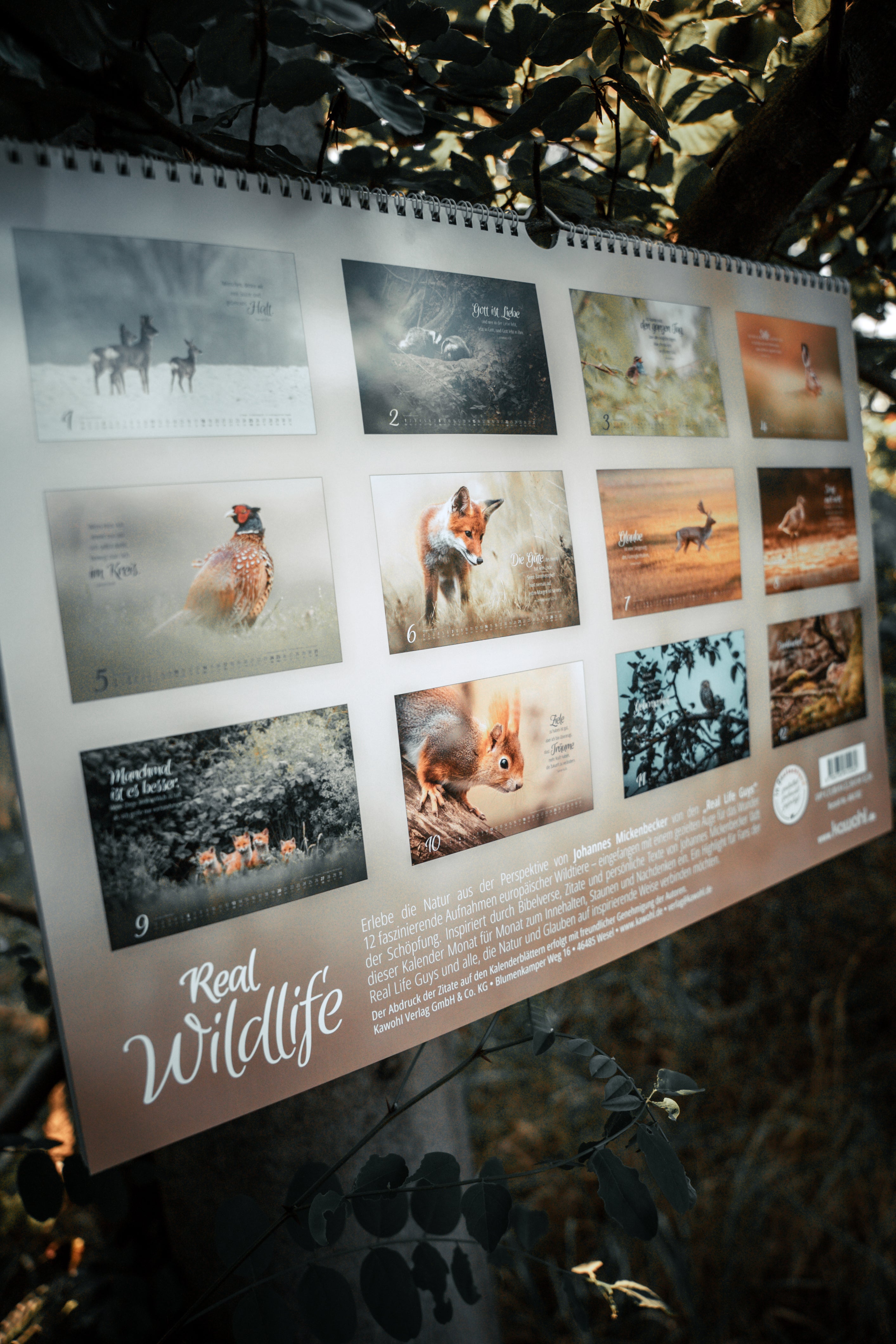 Real Wildlife 2026 - Wandkalender