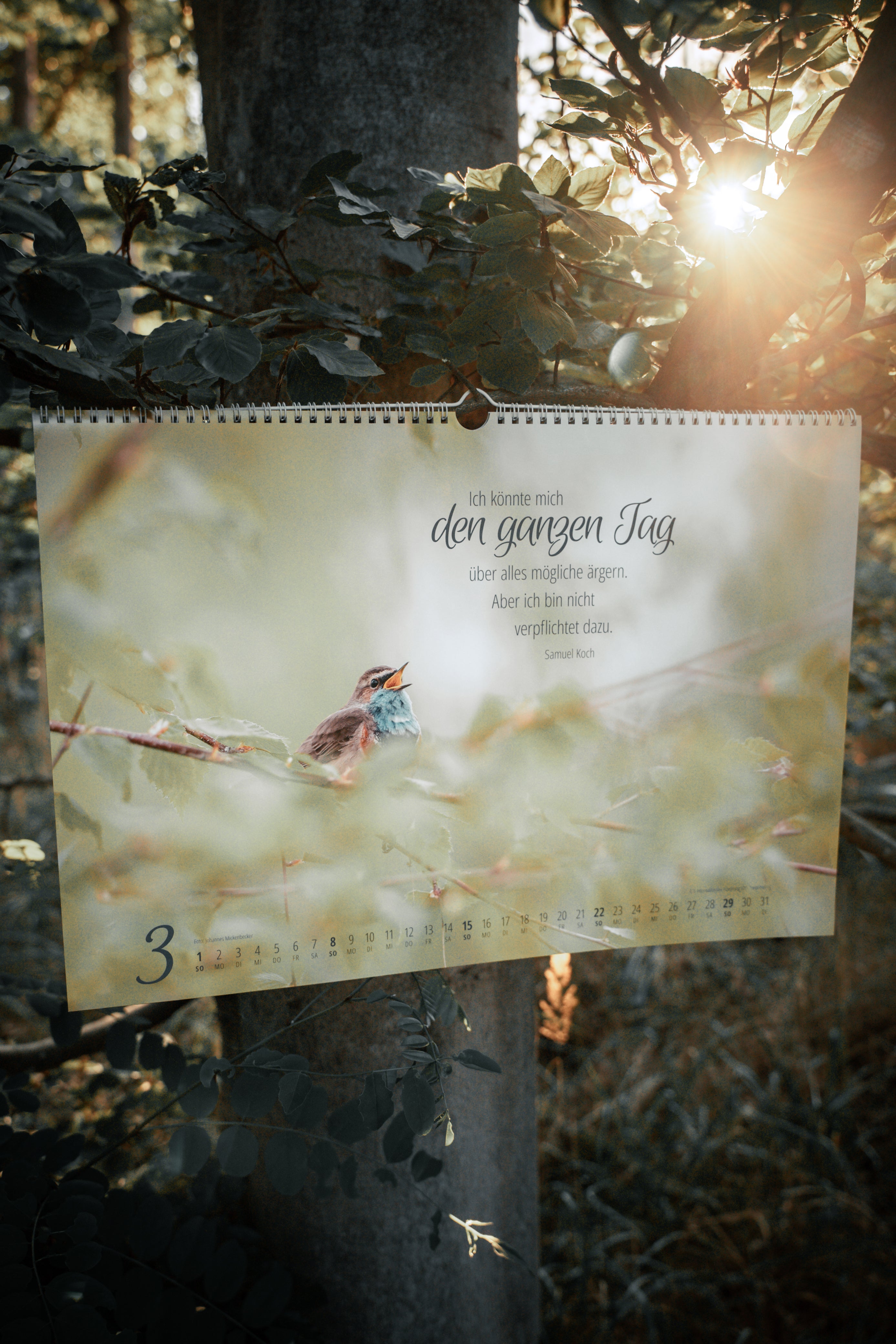 Real Wildlife 2026 - Wandkalender