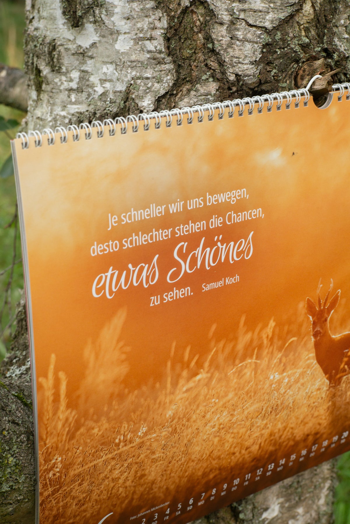 Johannes Naturfotografie - Wandkalender 2027