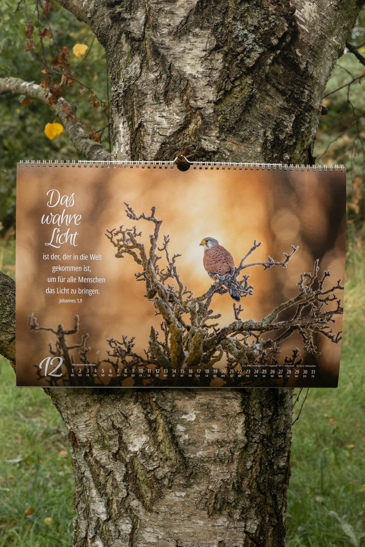 Johannes Naturfotografie - Wandkalender 2027