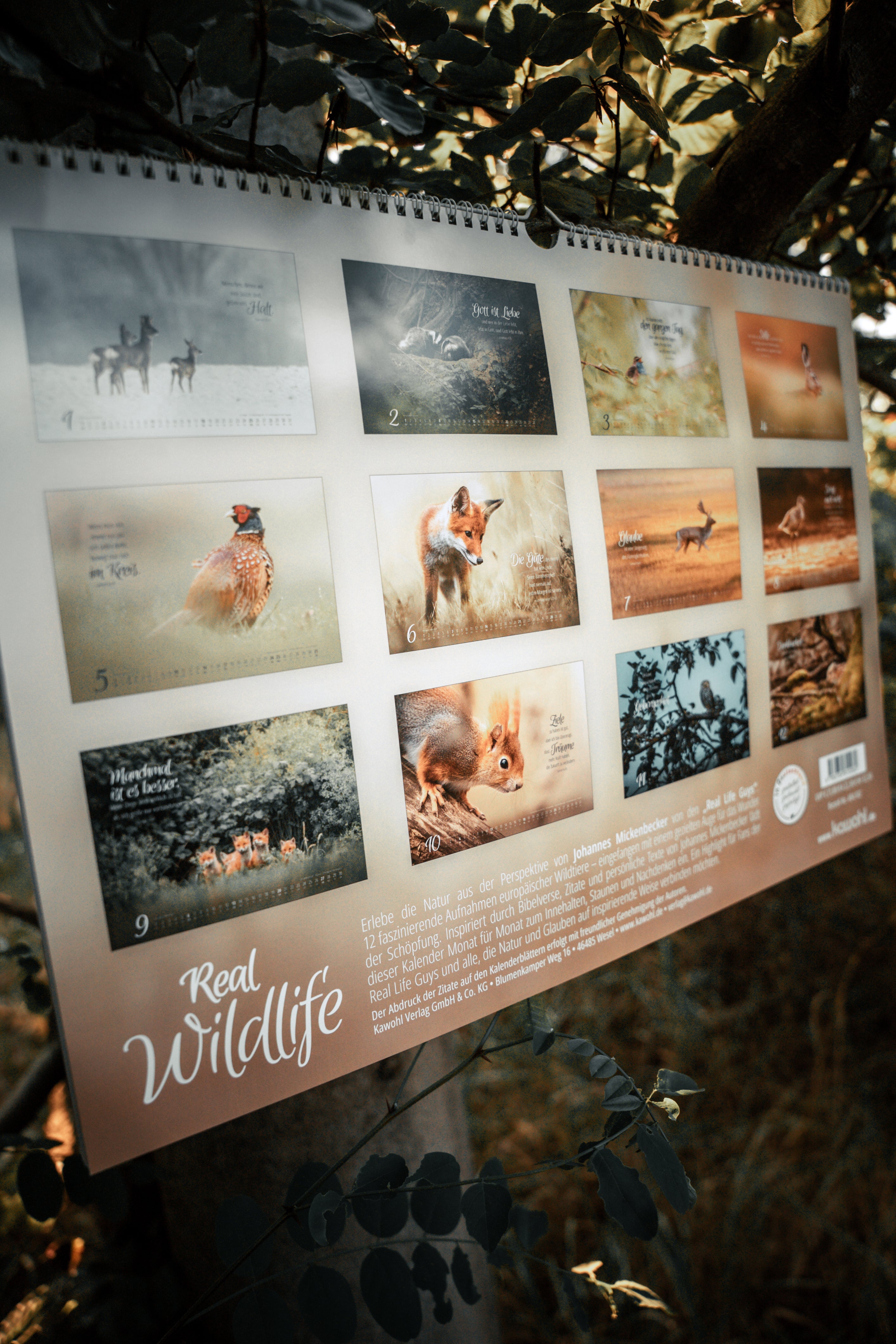 Johannes Naturfotografie - Wandkalender 2026