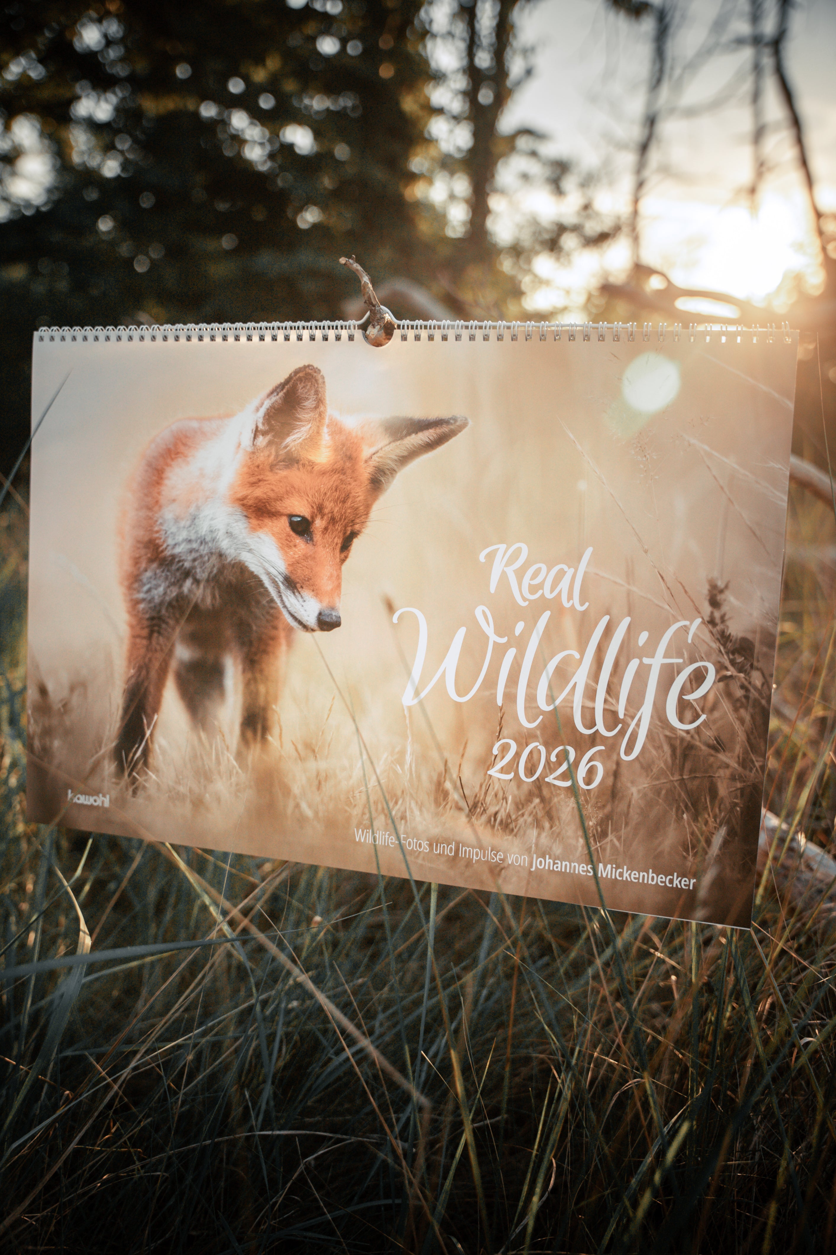 Real Wildlife 2026 - Wandkalender