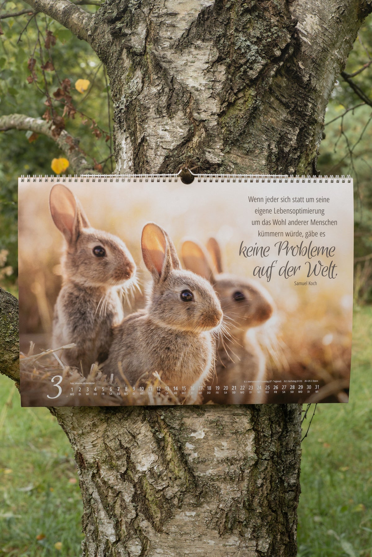 Johannes Naturfotografie - Wandkalender 2027