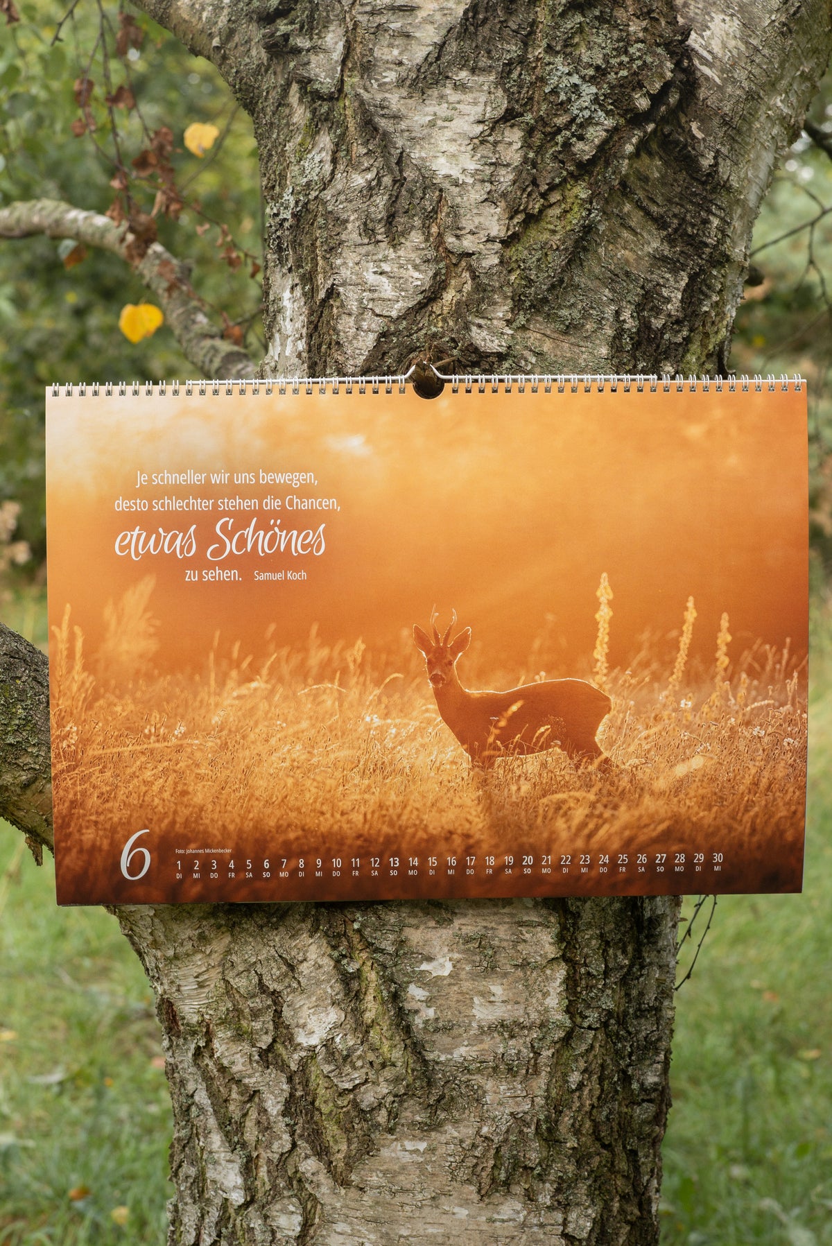 Johannes Naturfotografie - Wandkalender 2027